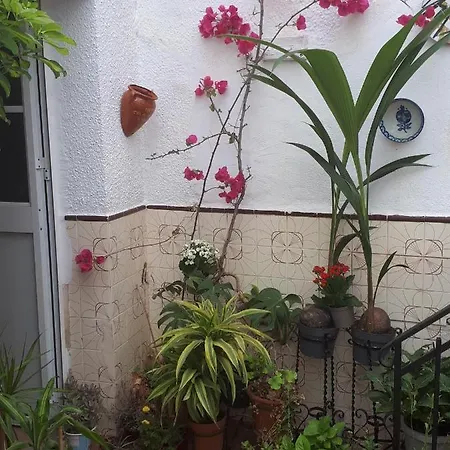 Guest house La Casa Jazmin
